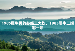 1985属牛男的必经三大坎，1985属牛二婚哪一年