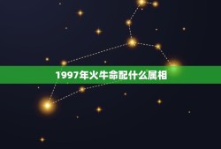 1997年火牛命配什么属相(介绍属相大介绍)
