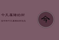 今天属猪的财运咋样，今天属猪的财运怎样