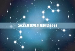 2023年蛇男全年运势1965(事业财运双丰收)