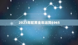 2023年蛇男全年运势1965(事业财运双丰收)