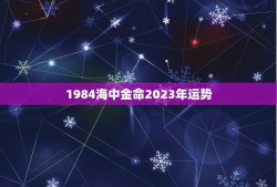 1984海中金命2023年运势(财运亨通事业顺利)