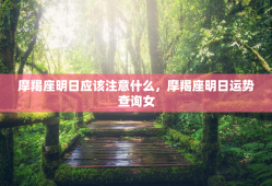 摩羯座明日应该注意什么，摩羯座明日运势查询女