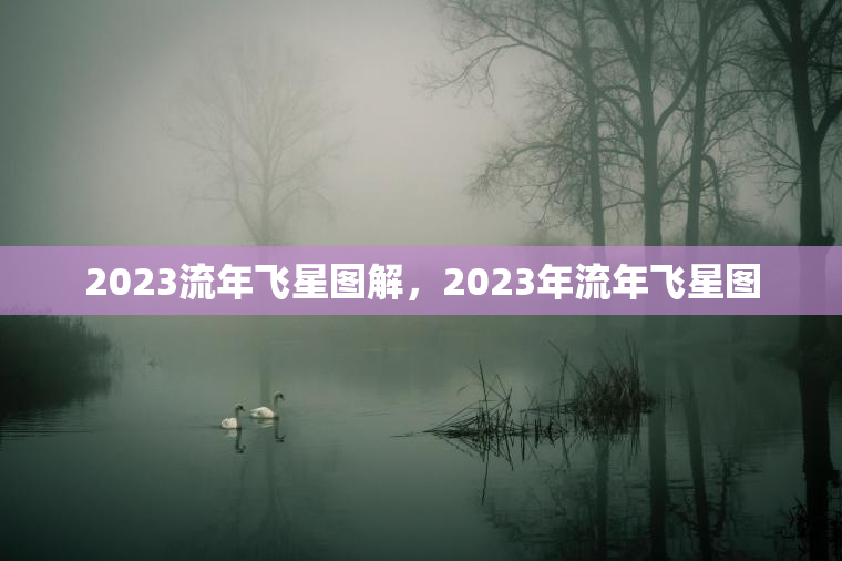 2023流年飞星图解，2023年流年飞星图