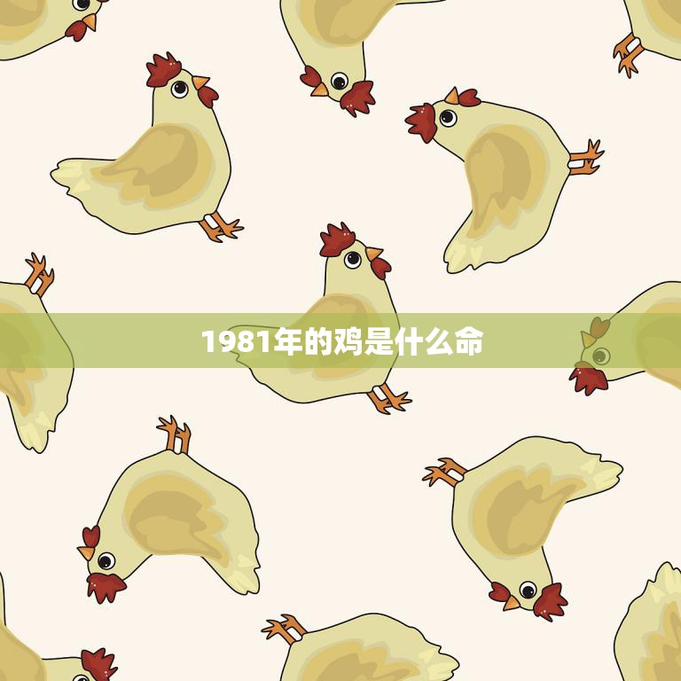 1981年的鸡是什么命(探寻中国传统文化中的生肖命理学)