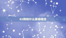 82狗和什么属相相合(寻找配对)