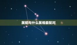 属蛇与什么属相最配对(介绍配对组合)