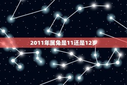 2011年属兔是11还是12岁(详解属兔人的年龄计算方法)