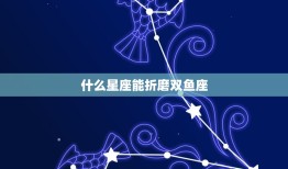 摩羯座的克星是狮子座(星座大战谁能笑到)