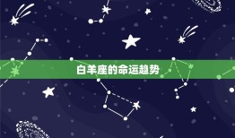 白羊是什么风向的星座(探秘白羊座的性格特点与命运趋势)