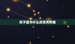 双子座为什么欣赏天秤座(探秘星座之间的默契)