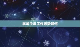 属羊今年工作运势如何(职场新气象展翅高飞)