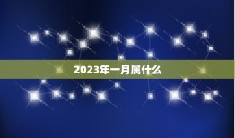 2023年一月属什么(2023年一月的星座是什么)