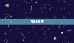 属猴女和哪个属相最配(配对星座大介绍)