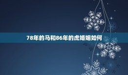 78年的马和86年的虎婚姻如何(幸福美满还是磨合期)