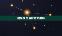 属兔属虎适合做夫妻吗(星座专家介绍)