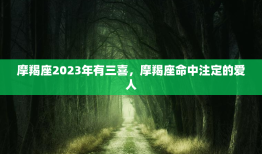 摩羯座2023年有三喜，摩羯座命中注定的爱人