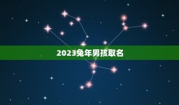 2023兔年男孩取名(如何选择的兔年宝宝名字)