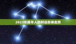 属羊的今年财运好不好(2023年属羊人财运大介绍)