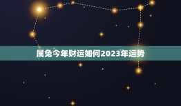 属兔今年财运如何2023年运势(兔子运势大介绍)