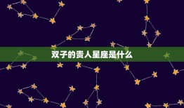 双子的贵人星座是什么(介绍双子座最有利的星座)