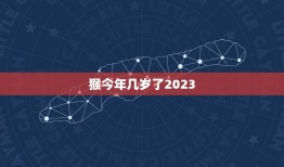 猴今年几岁了2023(猴年将至你知道猴的年龄吗)