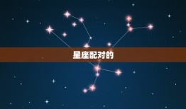 属相相合还是有人离婚(星座配对真的靠谱吗)