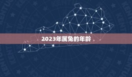 属兔的今年多大年龄呢(你知道吗)