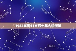 1982属狗41岁后十年大运展望（掌握先机，把握前程）