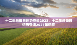 十二生肖每日运势查询2023，十二生肖每日运势查询2023年运程