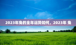 2023年兔的全年运势如何，2023年 兔