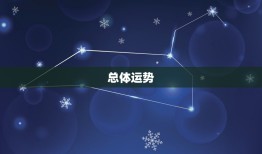 今年生肖鼠的运势如何(2023鼠年运势大介绍)