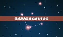 姓徐属兔的男取名徐锡(兔年宝宝的好名字选择)