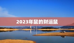 2023年鼠的财运鼠(财富滚滚来鼠年发大财)