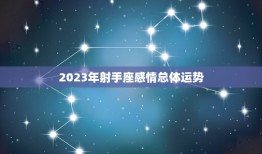 2023年射手座感情(爱情运势大介绍)