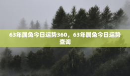 63年属兔今日运势360，63年属兔今日运势查询