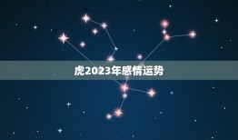 虎2023年感情运势(爱情路上有惊喜)