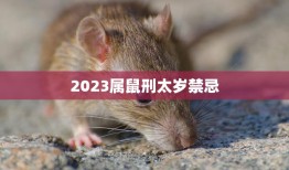 2023属鼠刑太岁禁忌(如何化解)