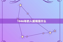 1946年的人属什么(探寻属相背后的文化意义)