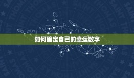 免费查自己的幸运数字(轻松掌握人生好运)