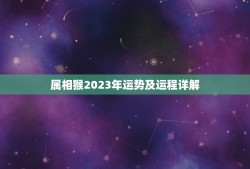 属相猴2023年运势及运程详解(猴子迎来好运)