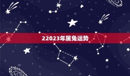 22023年属兔运势(兔子迎来财运大爆发)