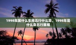 1998年属什么生肖五行什么命，1998年是什么命五行属相