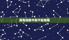 属兔和属牛配不配婚姻(星座配对分析)