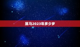 属马2023年多少岁(马儿飞腾岁月如梭)