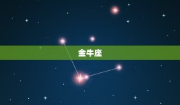 当老板娘成功的星座女(十二星座中谁最有潜力)