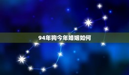 94年狗今年婚姻如何(介绍狗年属相婚姻运势)