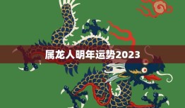 属龙人明年运势2023(事业财运双丰收)