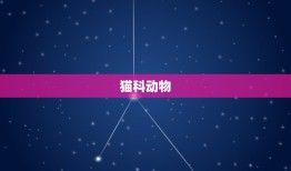 蛇最怕的三种克星动物(介绍哪些动物能让蛇闻风丧胆)