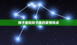 狮子座和双子座的爱情(星座组合火与风的激情碰撞)